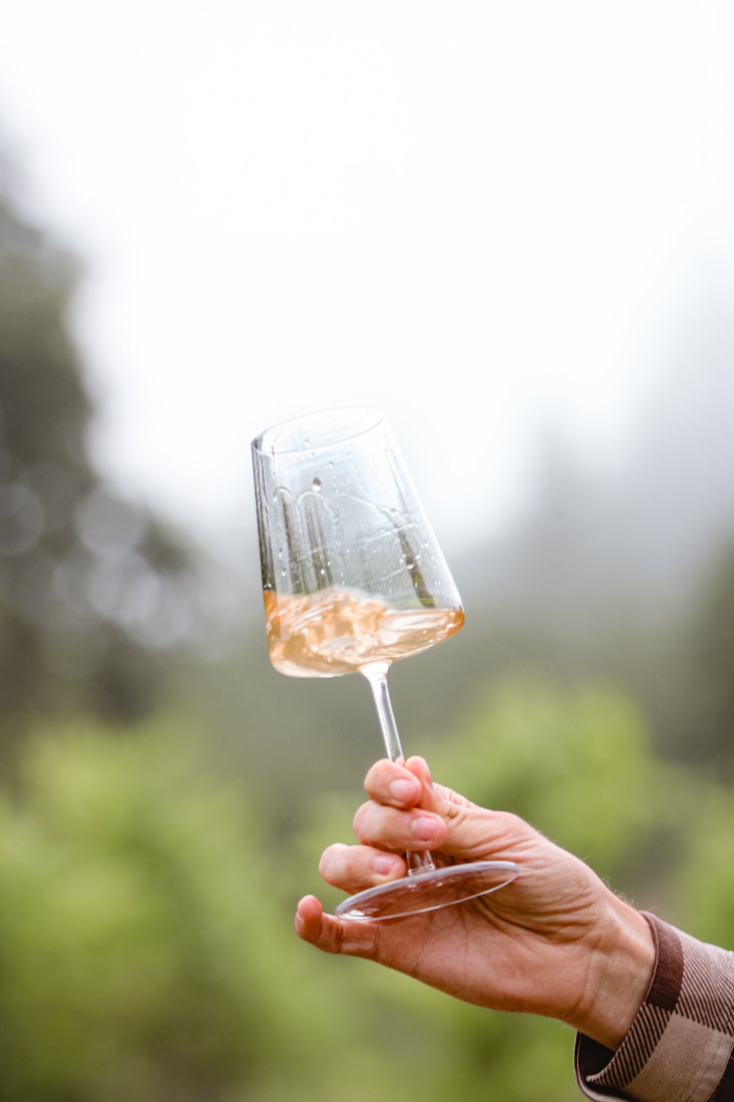 Porter Creek Chardonnay